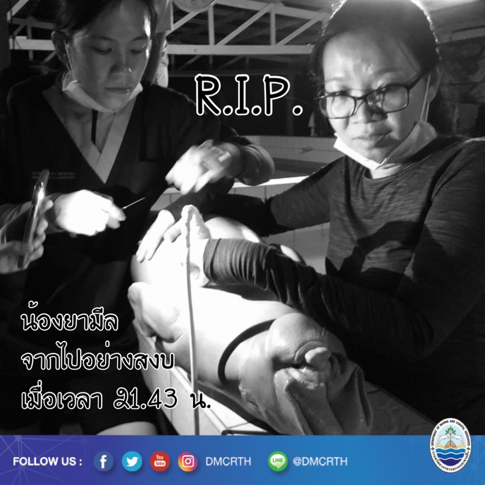สุดเศร้า ร่างกายบอบช้ำเกินทน สุดยื้อ น้องยามีล