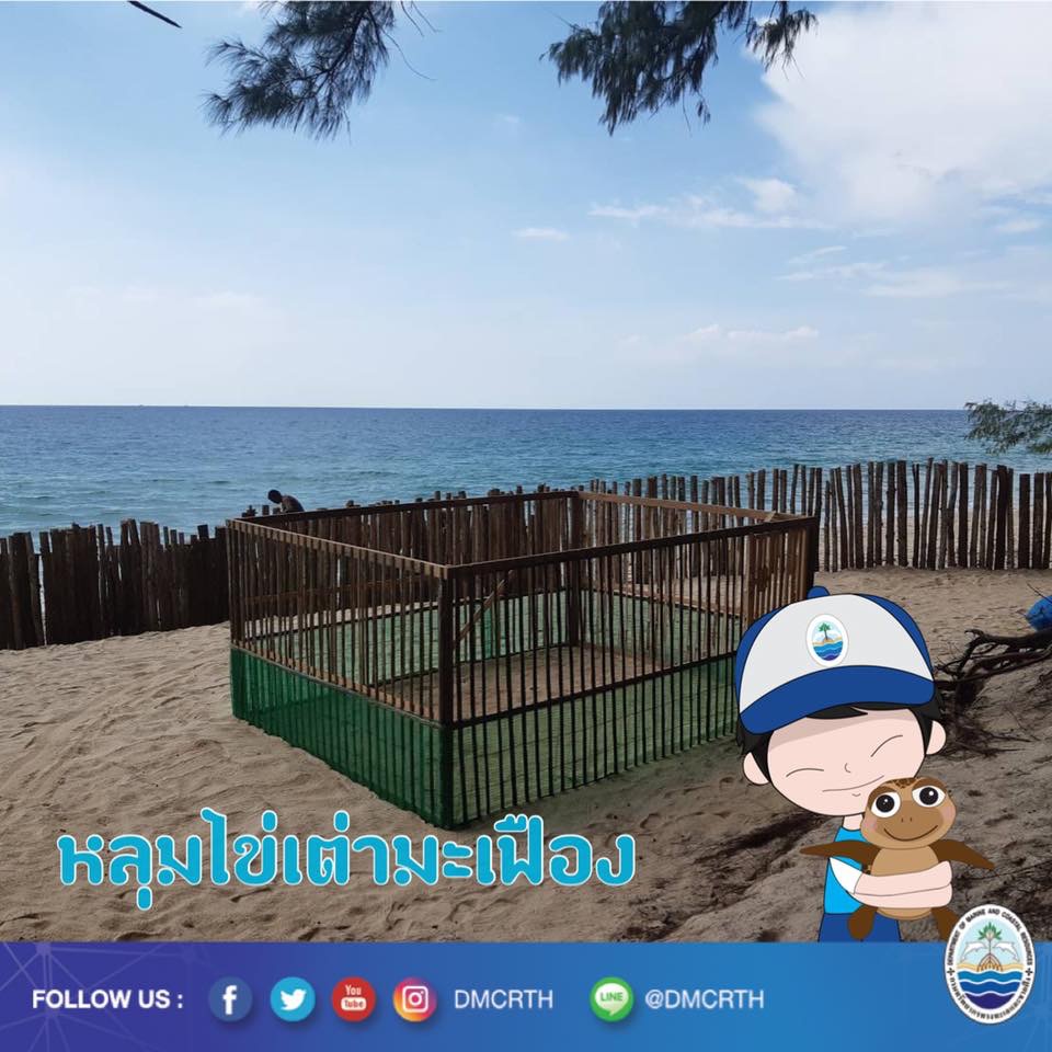 สวัสดี พี่น้องเครือข่ายอนุรักษ์ทะเลไทย