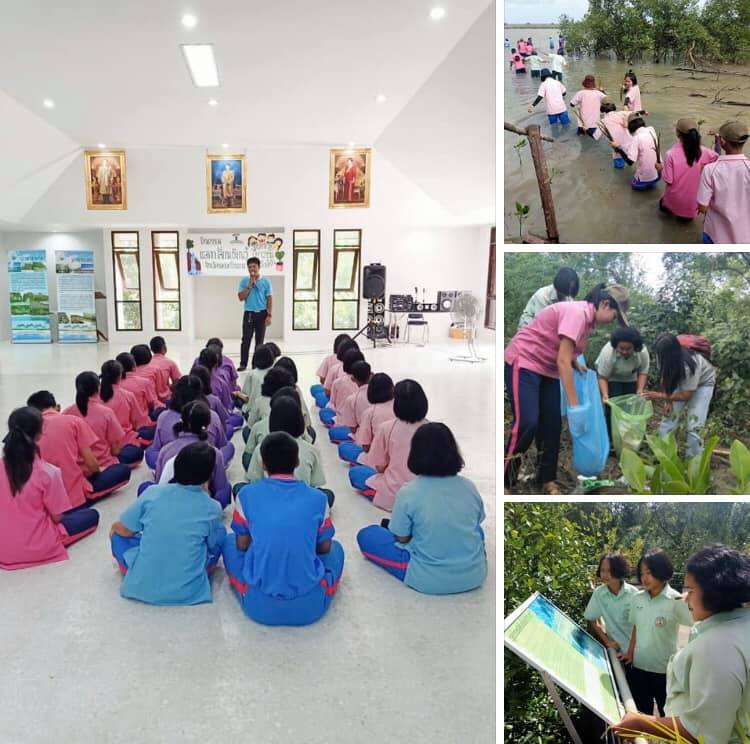 นำน้องเรียนรู้ระบบนิเวศป่าชายเลนปากนคร