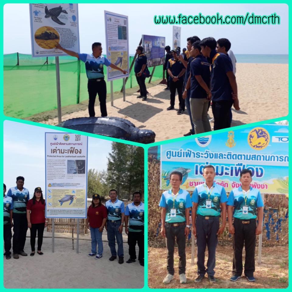 เหตุการณ์ทั่วไปปกติหลุมไข่เต่ามะเฟือง หาดท่าไทร หาดคึกคัก