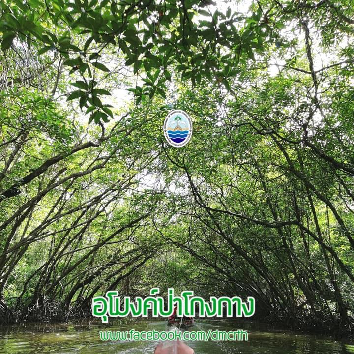 สวัสดี พี่น้องเครือข่ายรักษ์ทะเลไทย