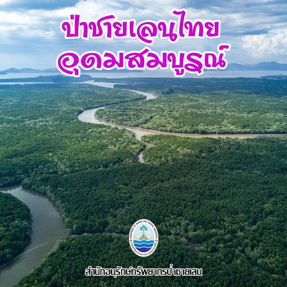 สวัสดี พี่น้องเครือข่ายรักษ์ทะเลไทย