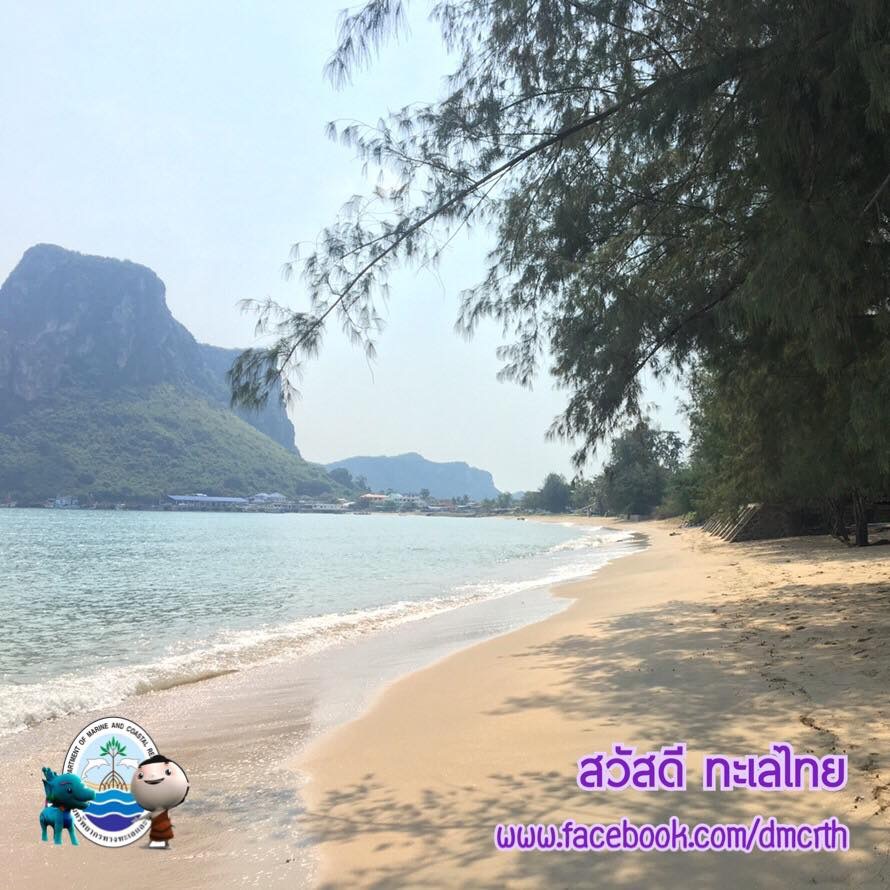 สวัสดี พี่น้องเครือข่ายรักษ์ทะเลไทย