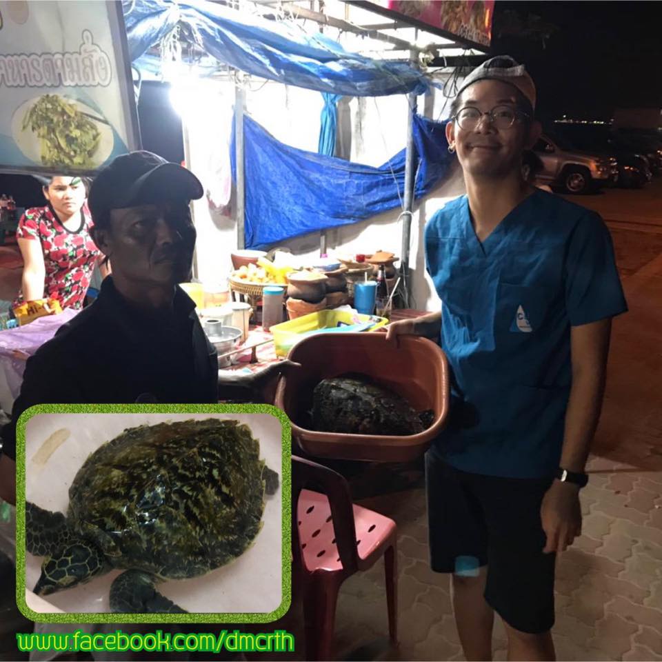 เครือข่ายพบเต่าติดอวน ทช. รุดช่วยพ้นพันธนาการแล้ว