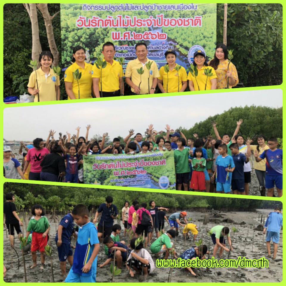 ฟื้นฟูป่าชายเลนชลบุรี เนื่องในวันต้นไม้ประจำปีของชาติ
