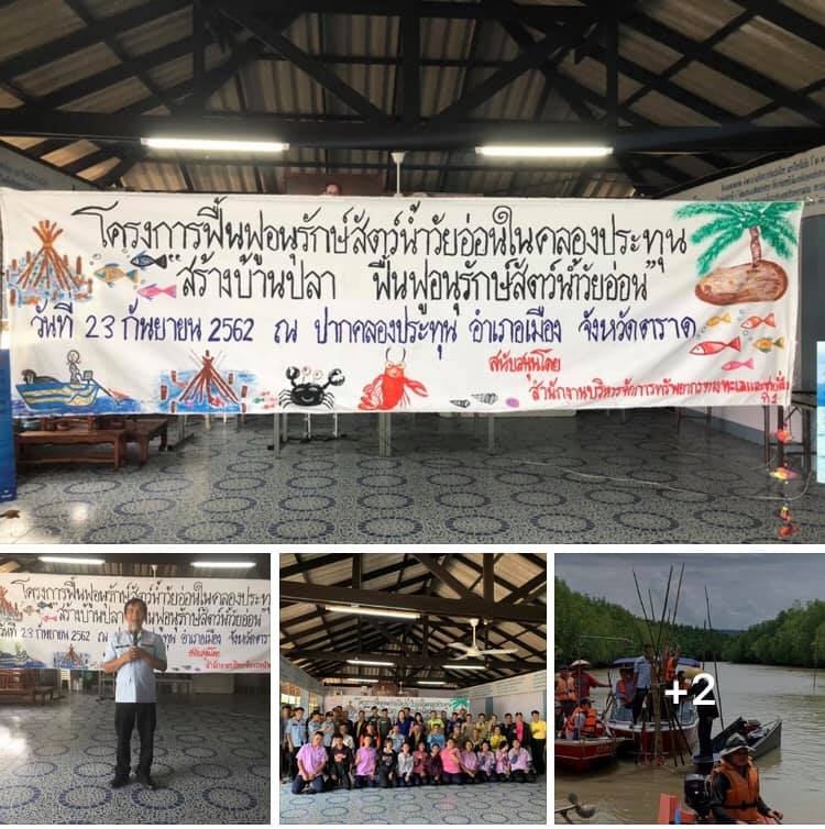 รวมพลังชาวแหลมกลัดสร้างบ้านปลาจากธรรมชาติ
