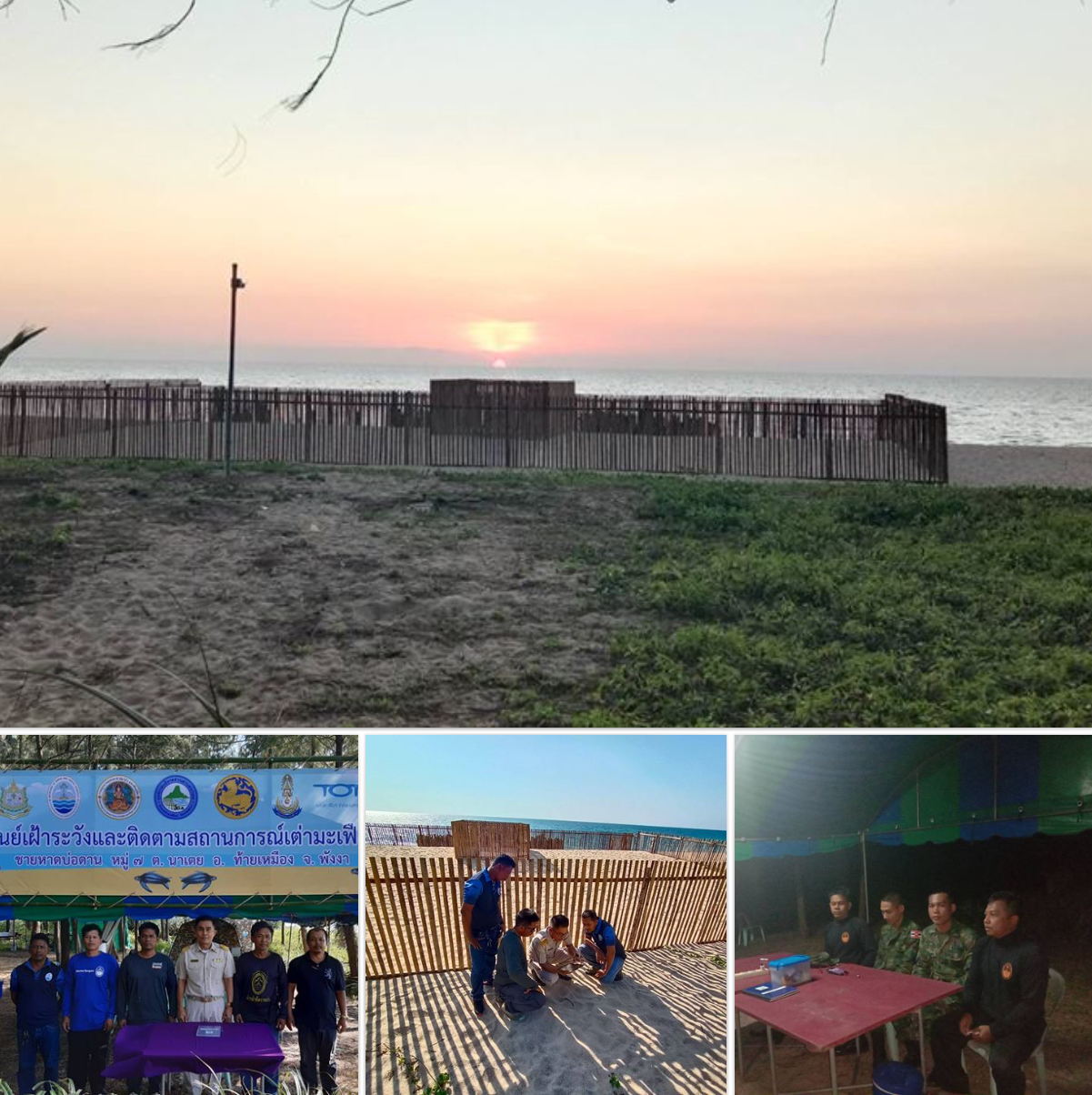หาดท้ายเหมือง-บ่อดาน ไม่พบเต่ามะเฟืองขึ้นวางไข่อีก