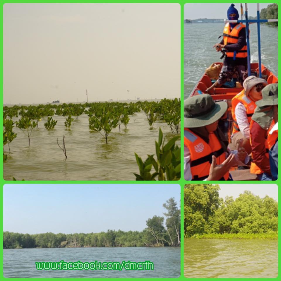 ติดตามการเปลี่ยนแปลงหาดโคลน เมืองเพชรบุรี