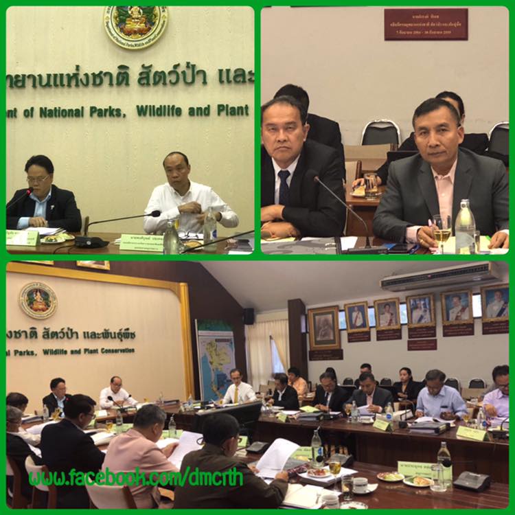 รองอธิบดี ทช. ร่วมประชุมคณะอนุกรรมการร่างแผนพัฒนาการป่าไม้