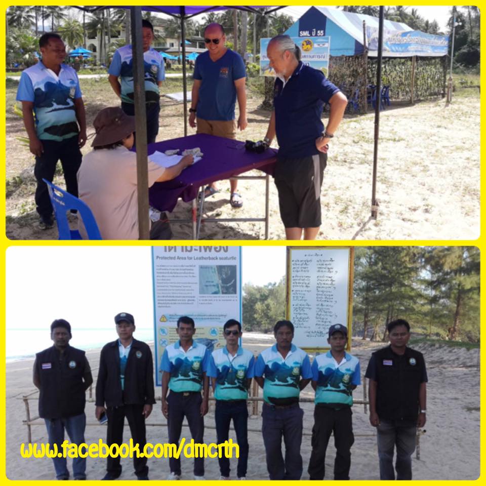 เหตุการณ์ปกติ หลุมไข่เต่ามะเฟืองหาดท่าไทร หาดคึกคัก
