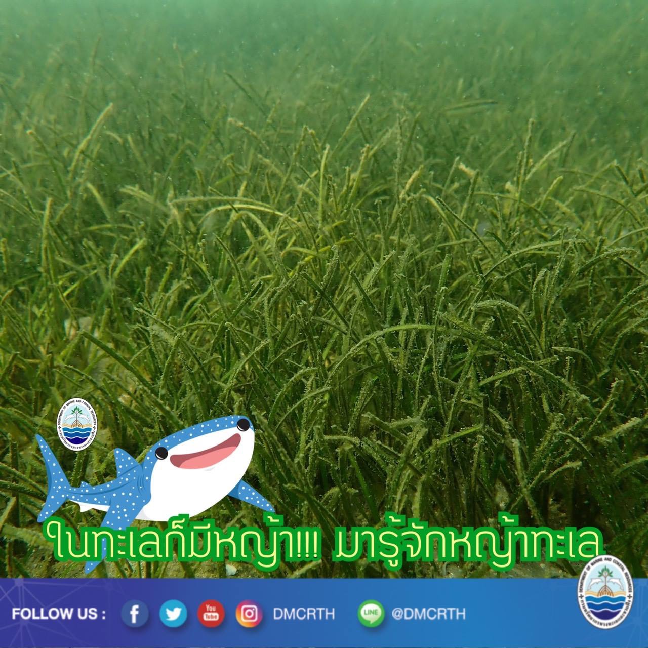 สวัสดี พี่น้องเครือข่ายรักษ์ทะเลไทย