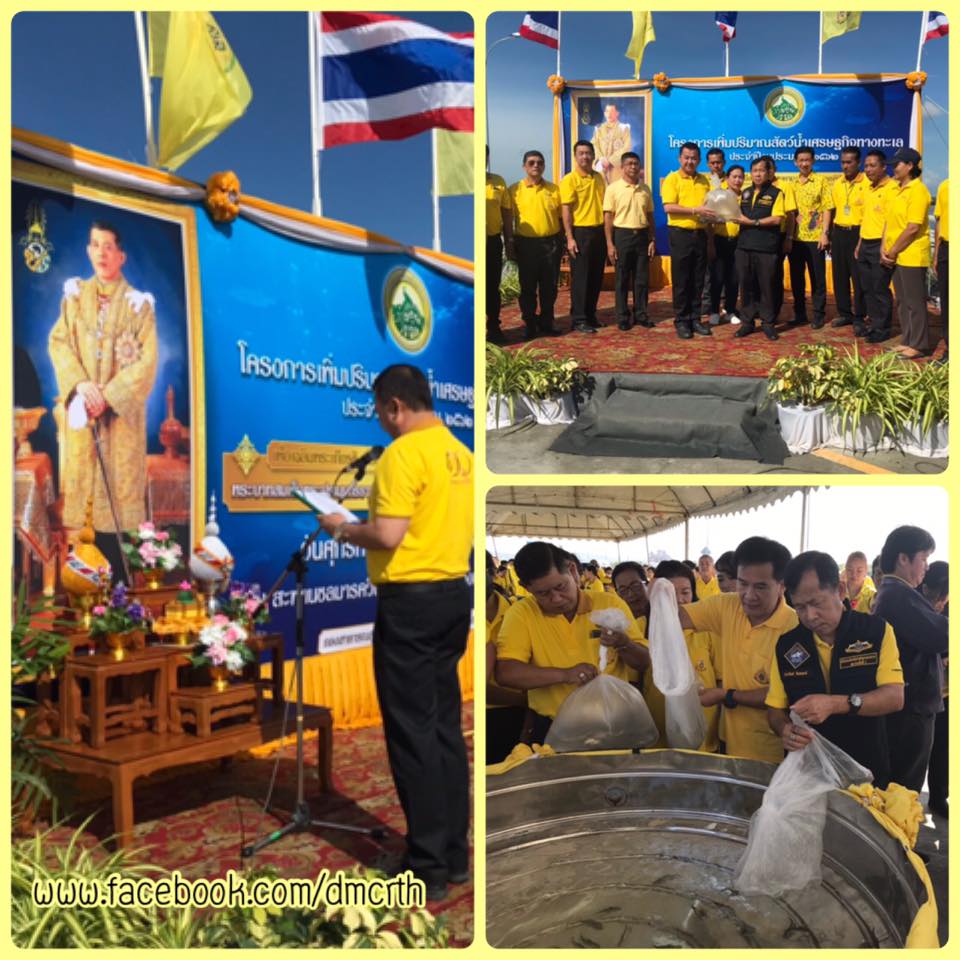 ร่วมปล่อยพันธุ์ปลากะพง ฟื้นฟู ทช. ชลบุรี