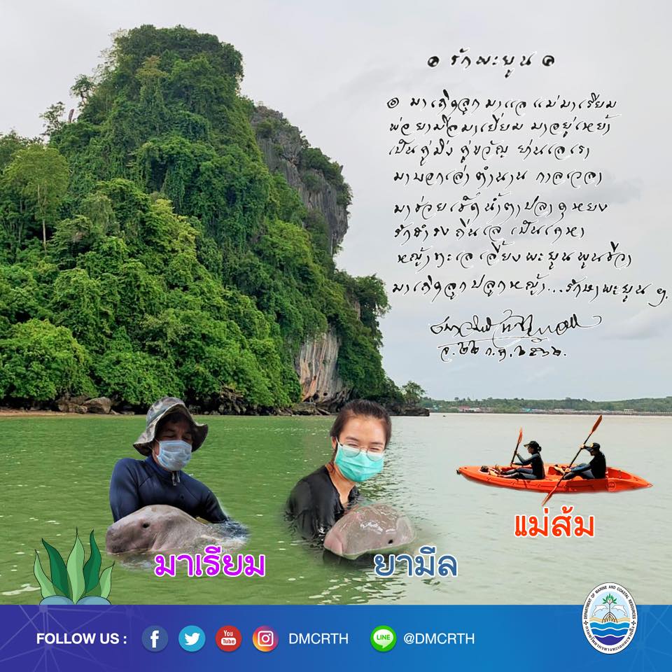 สวัสดี พี่น้องเครือข่ายรักษ์ทะเลไทย
