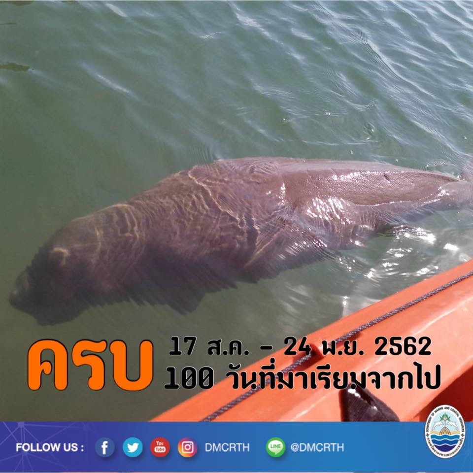 สวัสดี พี่น้องเครือข่ายอนุรักษ์ทะเลไทย