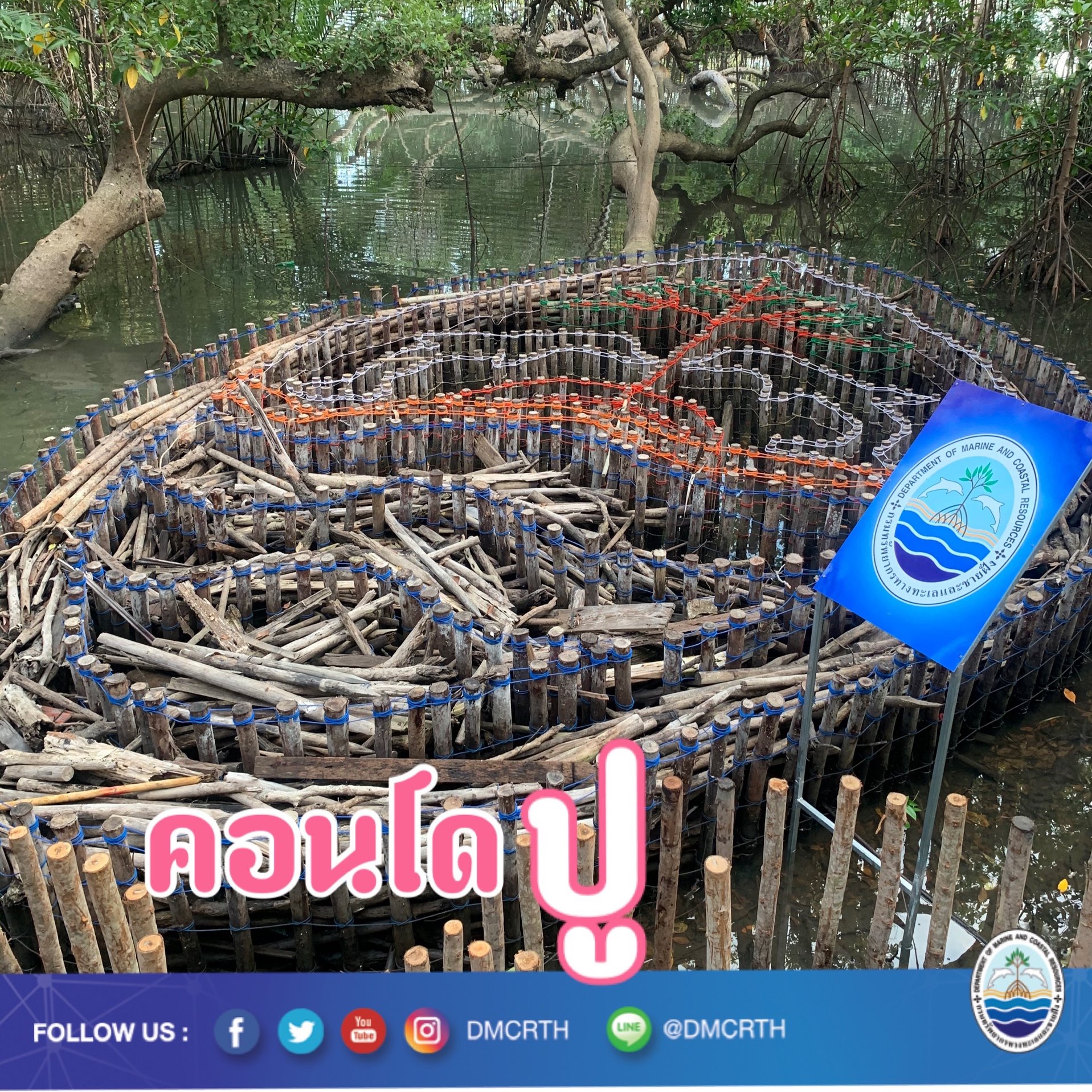 สวัสดี พี่น้องเครือข่ายอนุรักษ์ทะเลไทย
