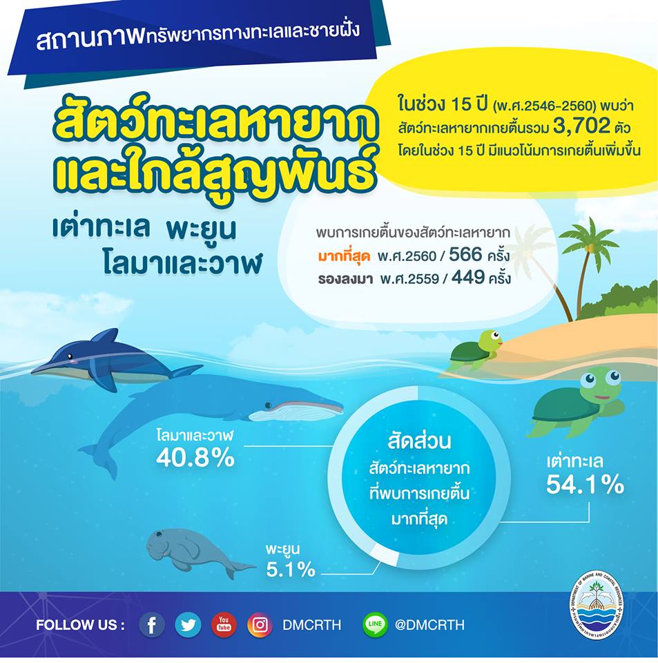 สถานการณ์ ทช. : สัตว์ทะเลหายากของไทย