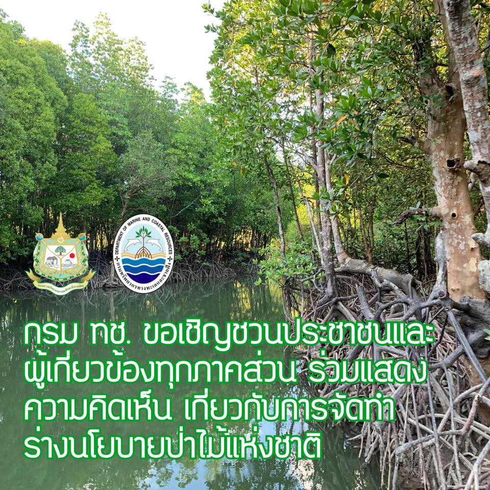 มาแสดงความคิดเห็นต่อร่างนโยบายป่าไม้แห่งชาติ