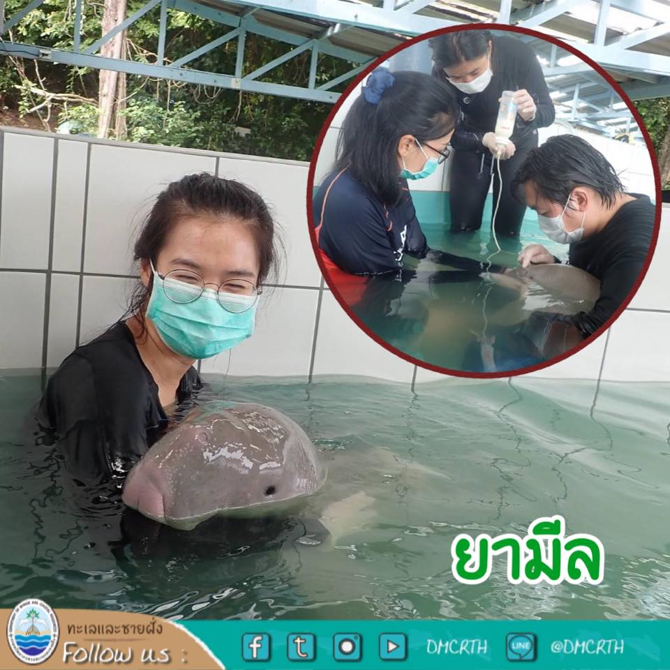 ยามีล เองครับผม