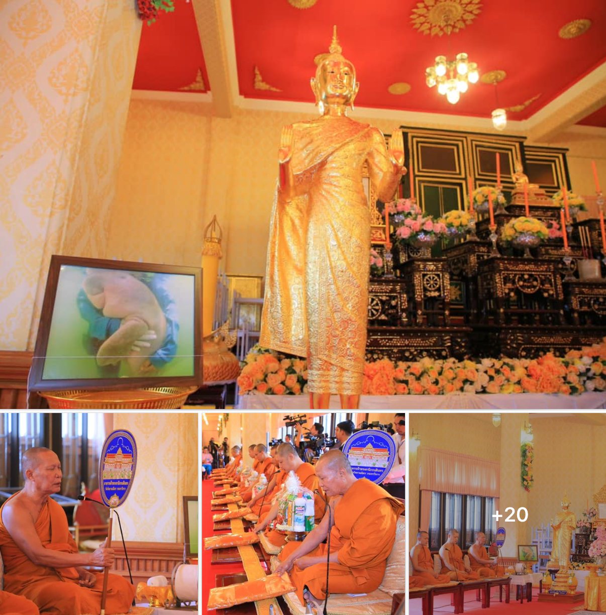 ทช. ร่วมจัดพิธีทำบุญอุทิศส่วนกุศลให้สัตว์ทะเลหายาก