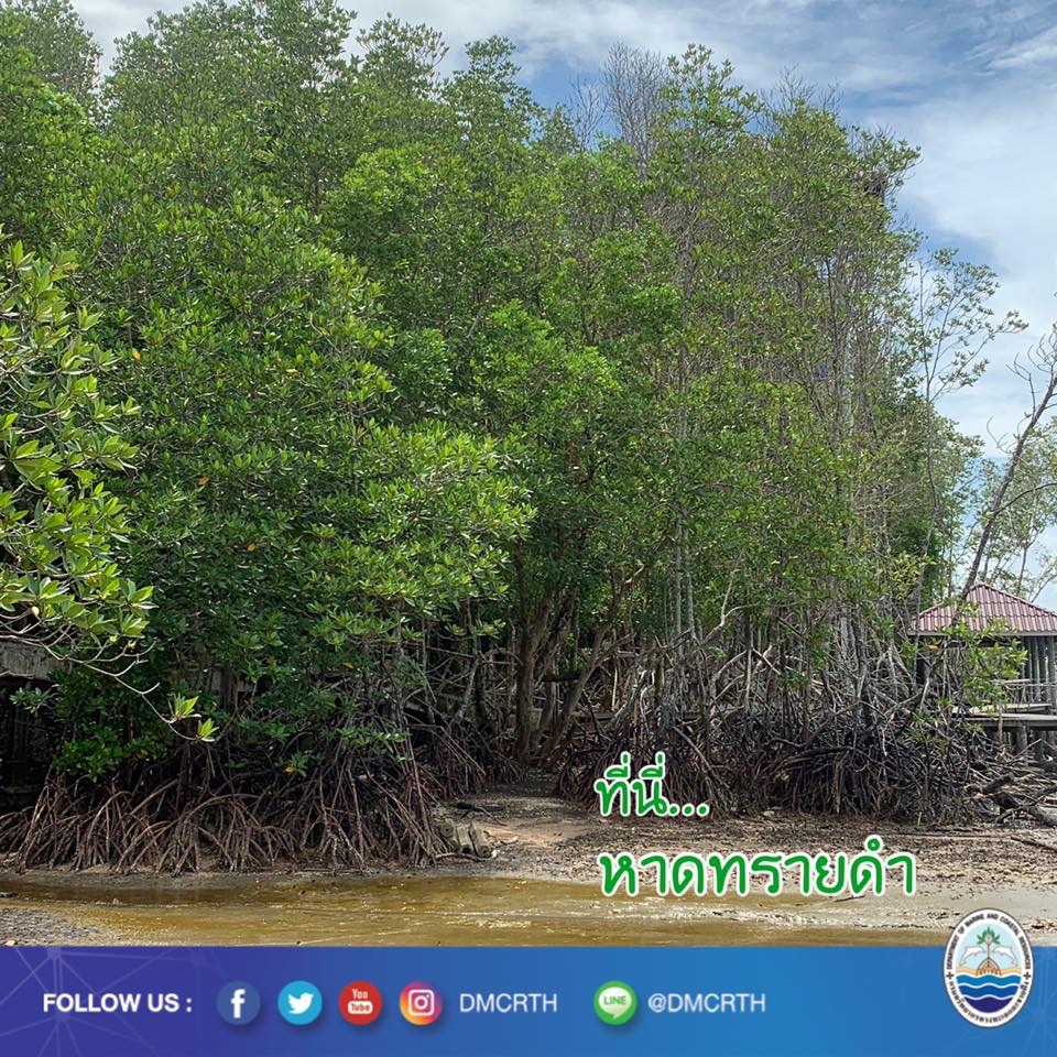 สวัสดี พี่น้องเครือข่ายรักษ์ทะเลไทย