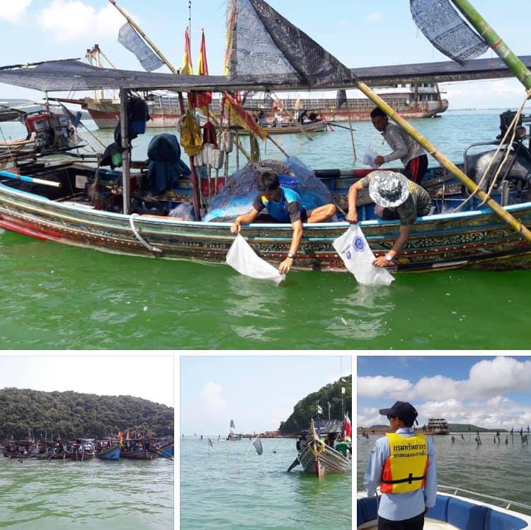ร่วมชุมชน เครือข่ายในพื้นที่ปล่อยพันธุ์สัตว์น้ำเกาะหนู