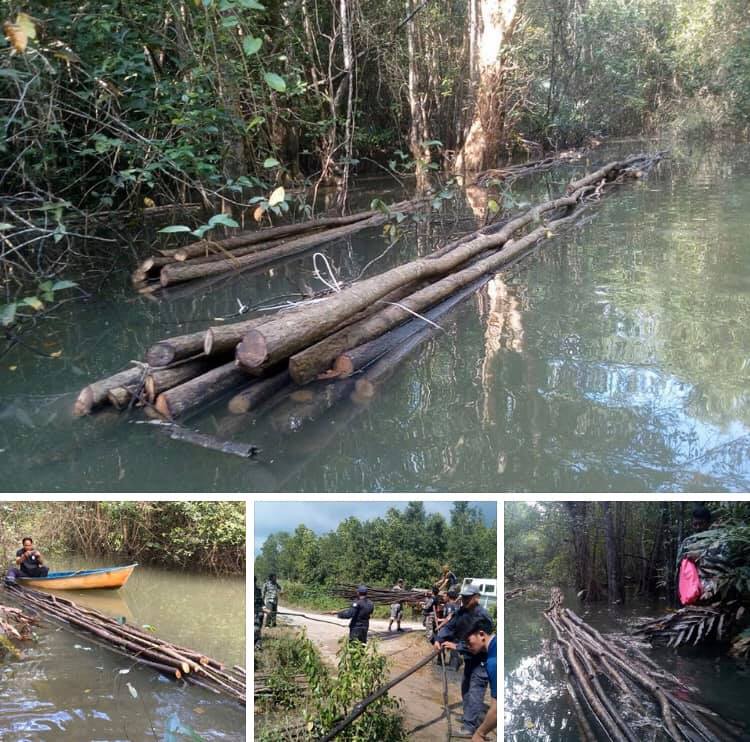 พบลักลอบตัดไม้ตาตุ่มทะเลในเขตอุทยานฯ หมู่เกาะชุมพร
