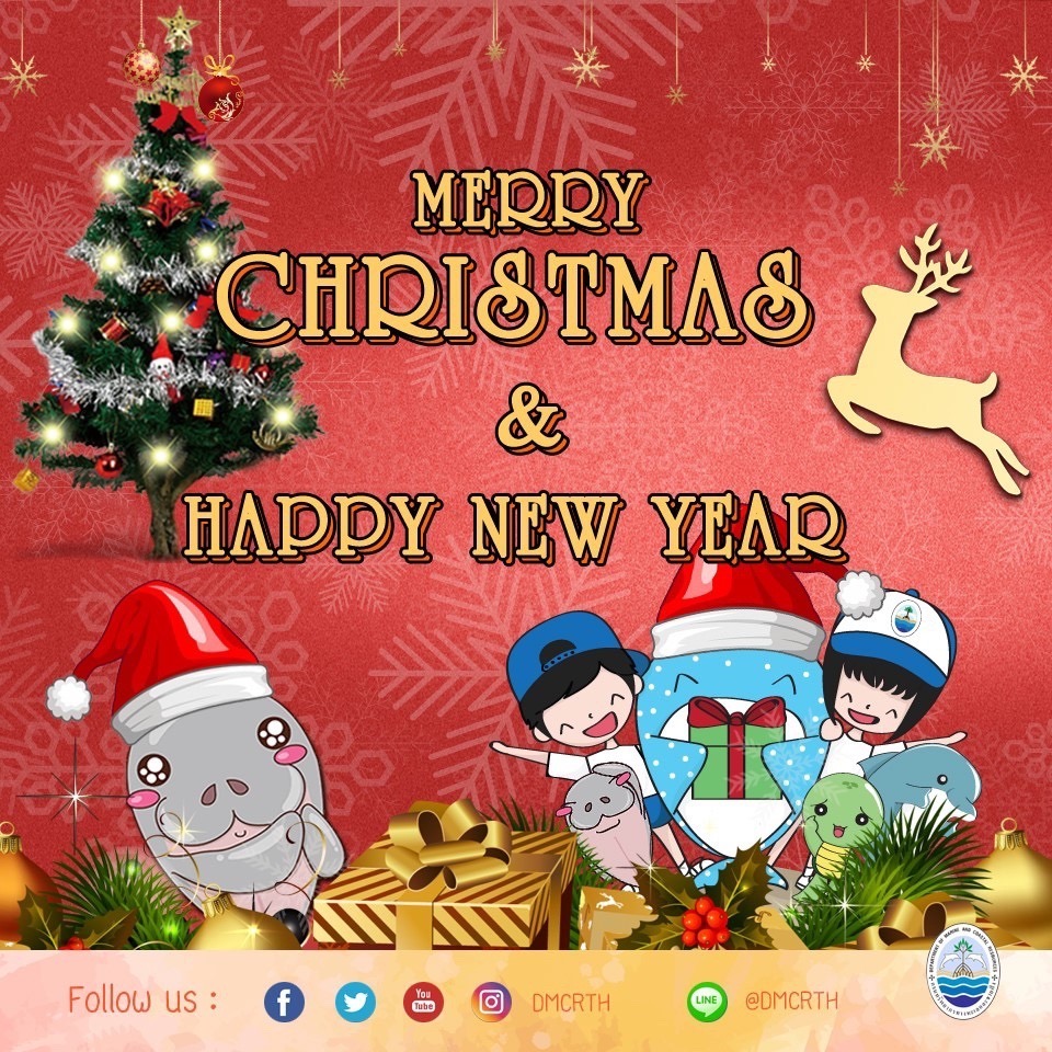 สวัสดี พี่น้องเครือข่ายอนุรักษ์ทะเลไทย