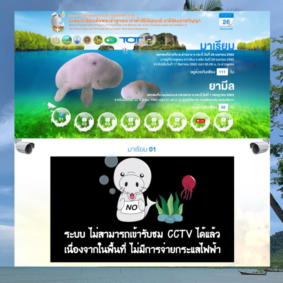 ขอแจ้งปิดระบบติดตามสถานการณ์ฯ ลูกพะยูน เกาะลิบง