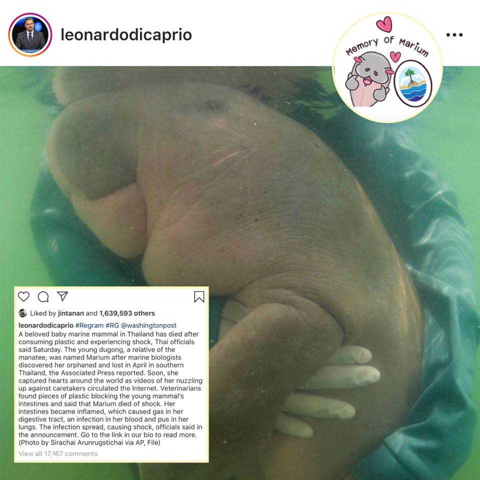ขอบคุณ ลีโอนาร์โด ดิแคพรีโอ โพสต์ข่าวน้องมาเรียม ผ่าน IG