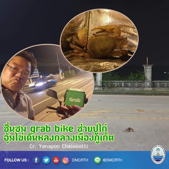 เรื่องราวน่ารักของหนุ่ม grab bike กับ Crab แม่ปูไก่