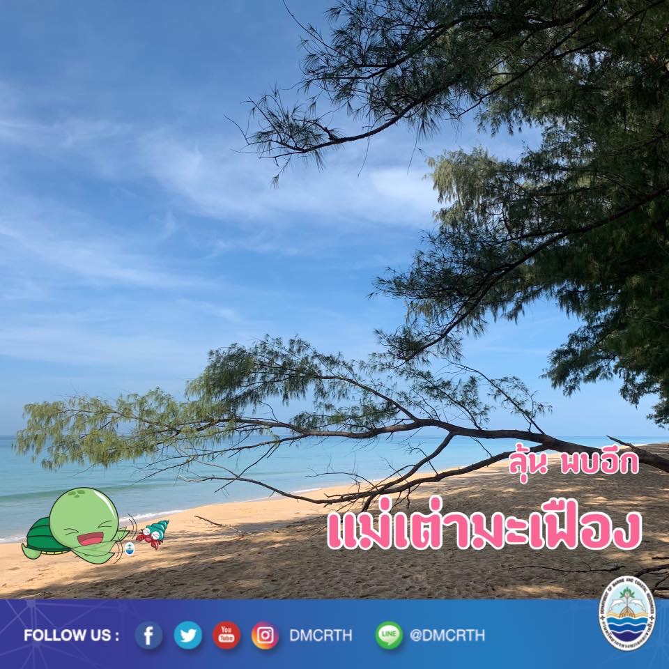 สวัสดี พี่น้องเครือข่ายอนุรักษ์ทะเลไทย