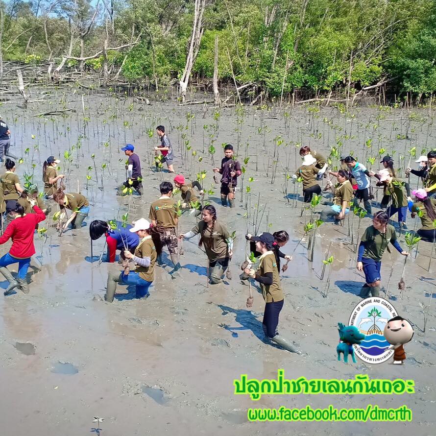 สวัสดี พี่น้องเครือข่ายรักษ์ทะเลไทย