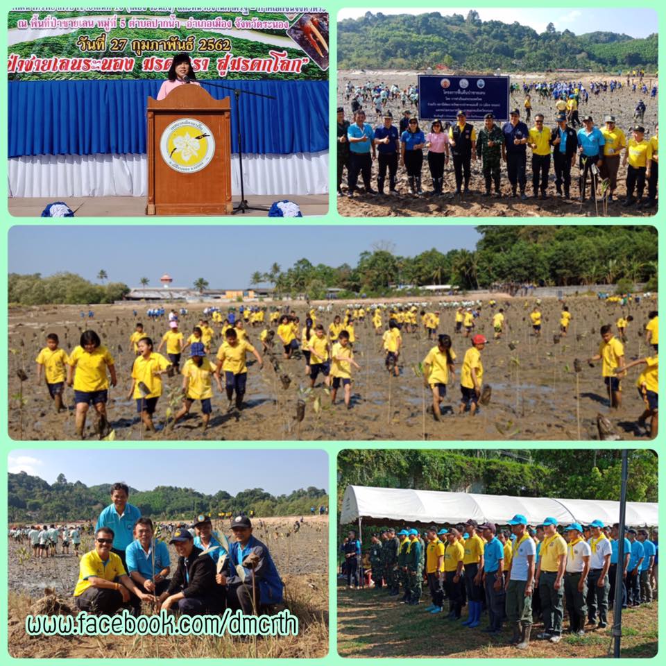 ฟื้นฟูป่าชายเลนบ้านเขานางหงส์ เมืองระนอง