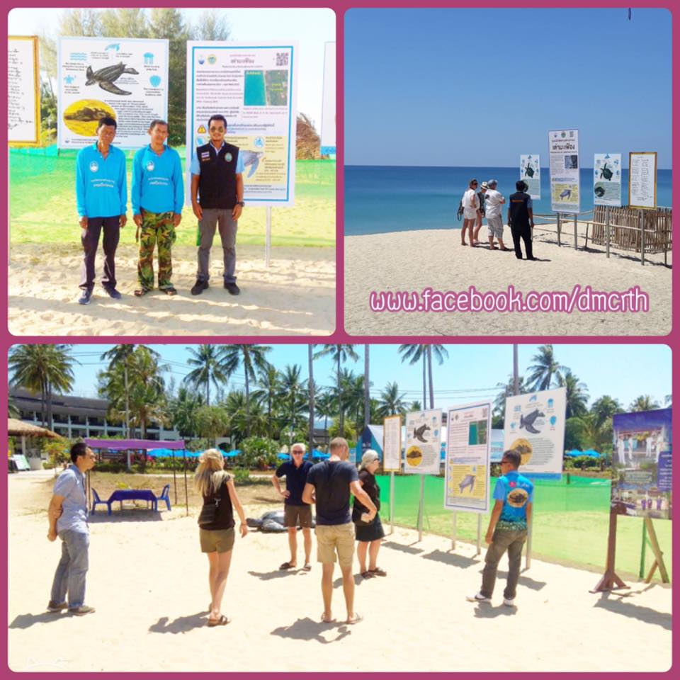 หลุมไข่เต่ามะเฟืองหาดคึกคัก หาดท่าไทร เหตุการณ์ยังปกติ