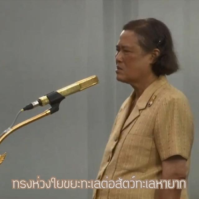 สมเด็จพระเทพฯ ทรงห่วงปัญหาทิ้งขยะไม่เป็นที่ กระทบสัตว์ทะเล รับสั่งให้มีคุณธรรม-ไม่มักง่าย