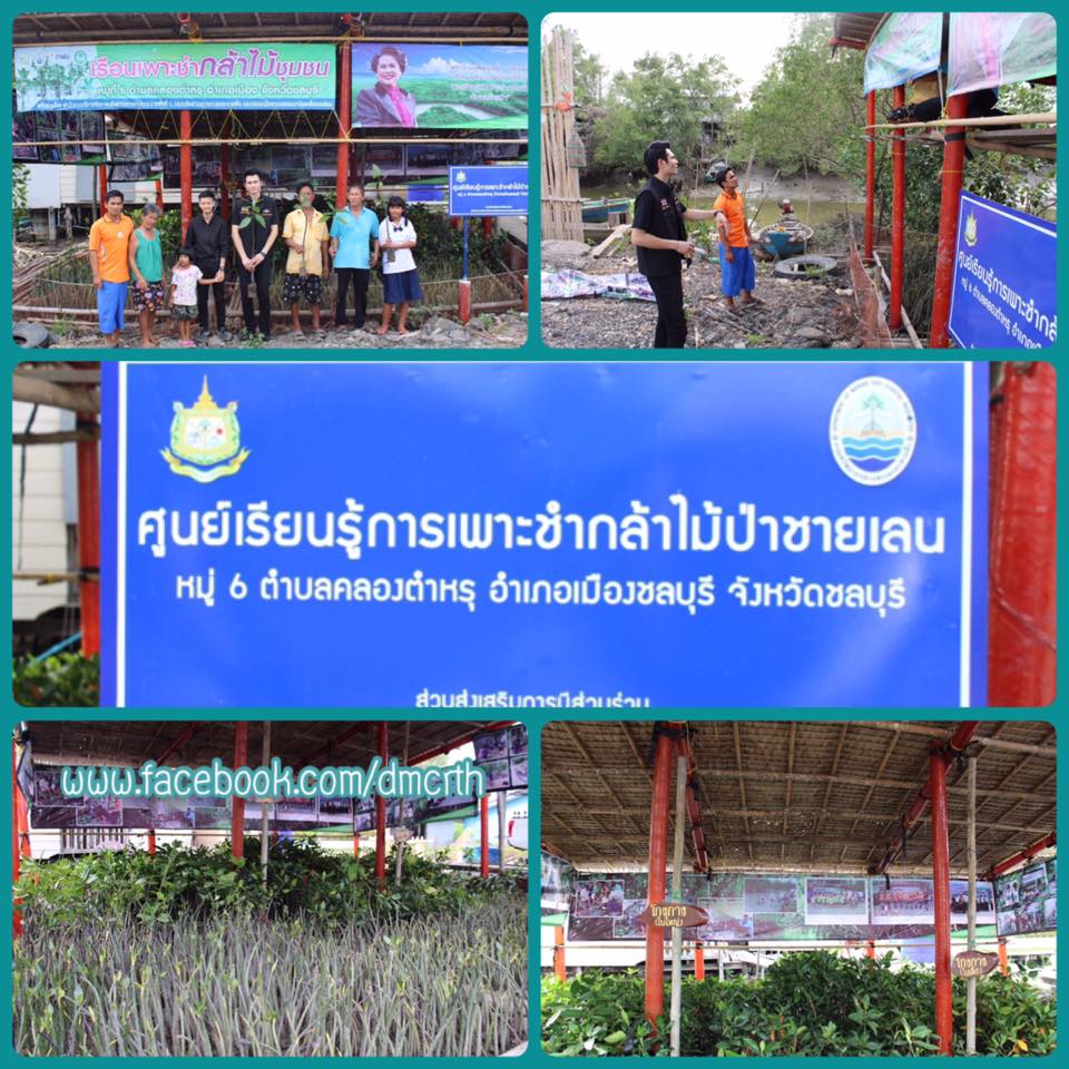 มอบโรงเพาะชำกล้าไม้ป่าชายเลน ชุมชนชายฝั่งคลองตำหรุ