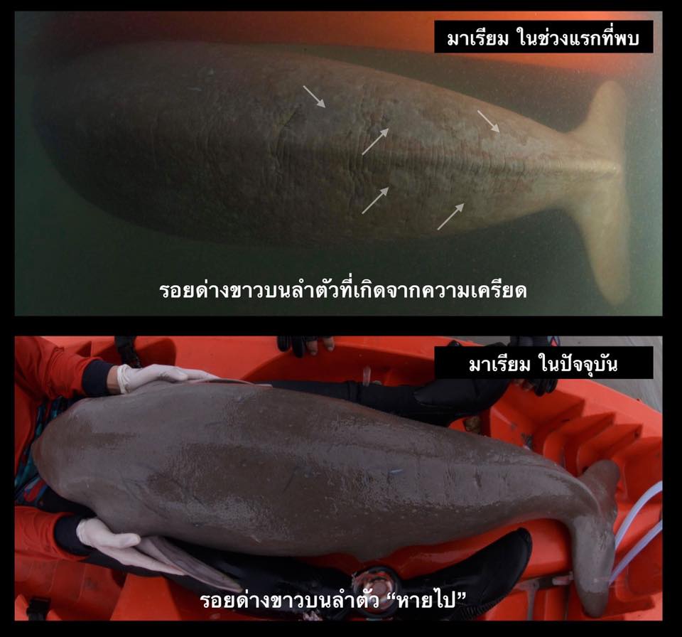 ซนได้ไม่เครียด สุขภาพมาเรียมดีขึ้นตามลำดับ