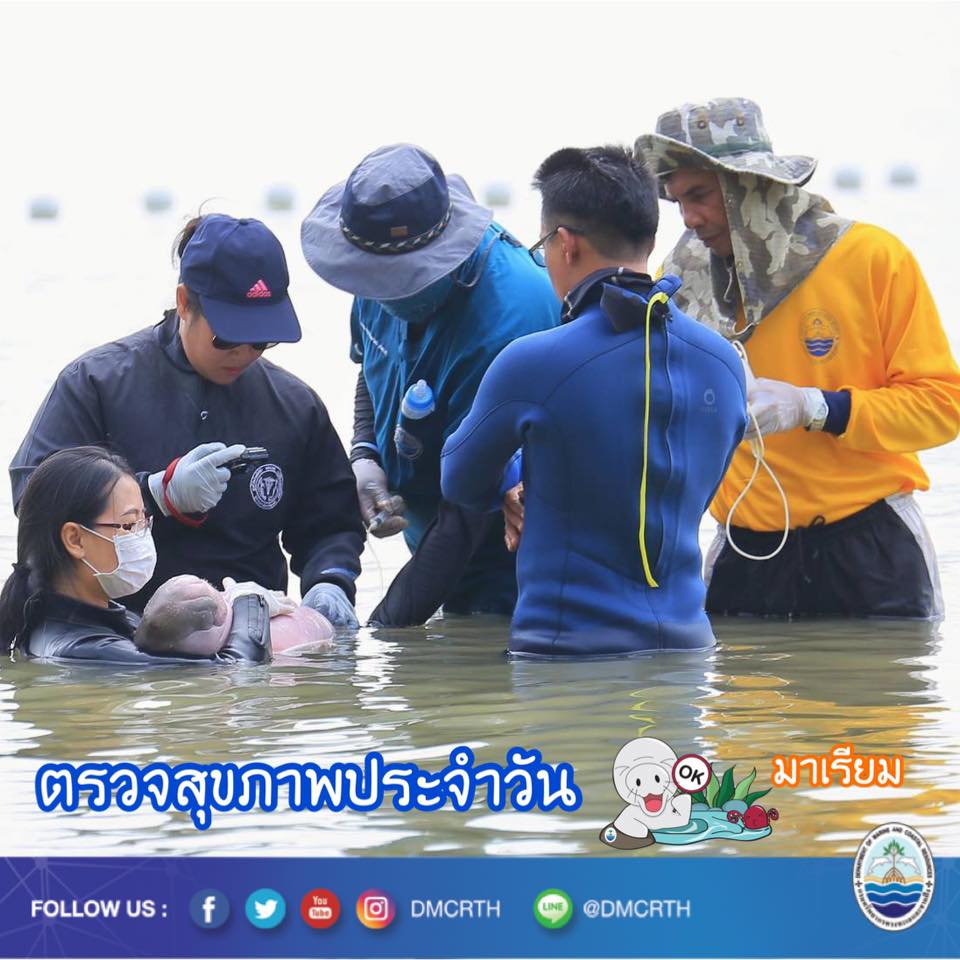 อัพเดทมาเรียม สุขภาพดี กิน/ถ่ายปกติ