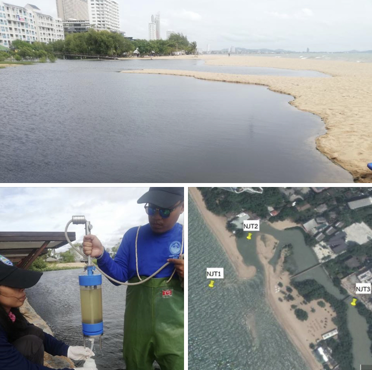 ผลการตรวจสอบน้ำเสีย หาดจอมเทียน