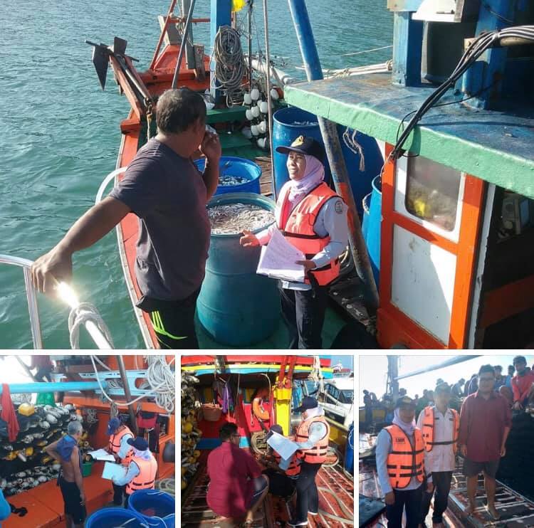 ตรวจเรือประมงสตูล เอกสารครบตามระเบียบ IUU