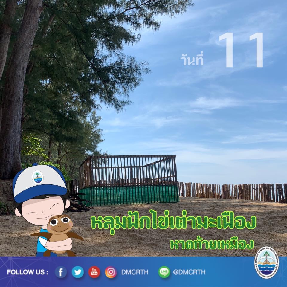 สวัสดี พี่น้องเครือข่ายอนุรักษ์ทะเลไทย