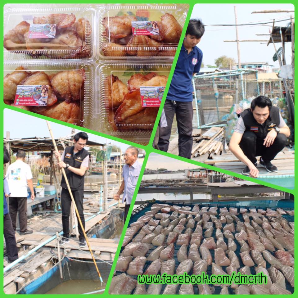 รวบรวมความรู้ภูมิปัญญาท้องถิ่น บางปะกง