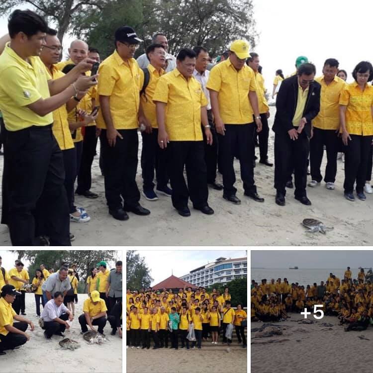 ทำความดีด้วยหัวใจ ปล่อยเต่าป่วยที่หายแล้วคืนทะเลสงขลา