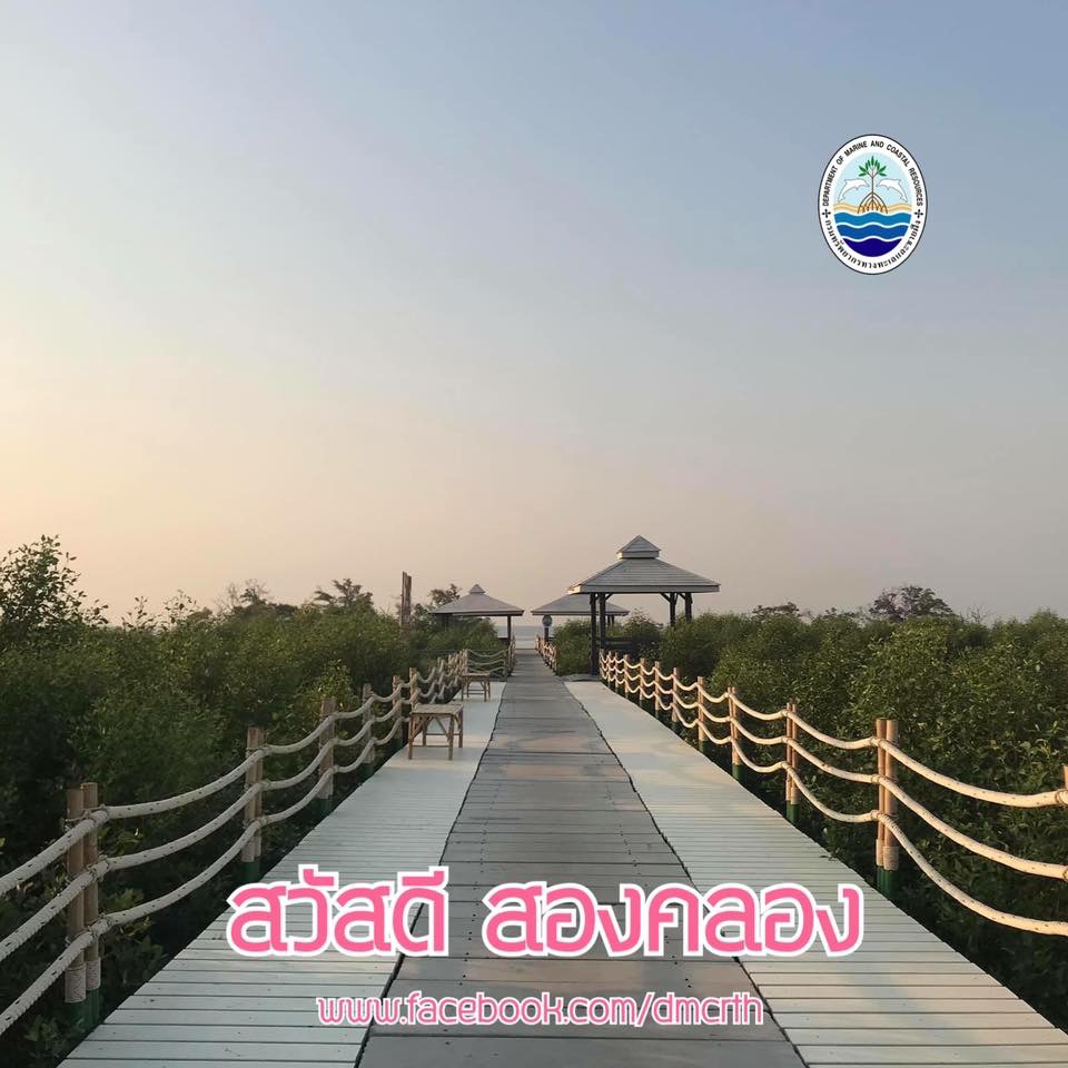 สวัสดี พี่น้องเครือข่ายรักษ์ทะเลไทย