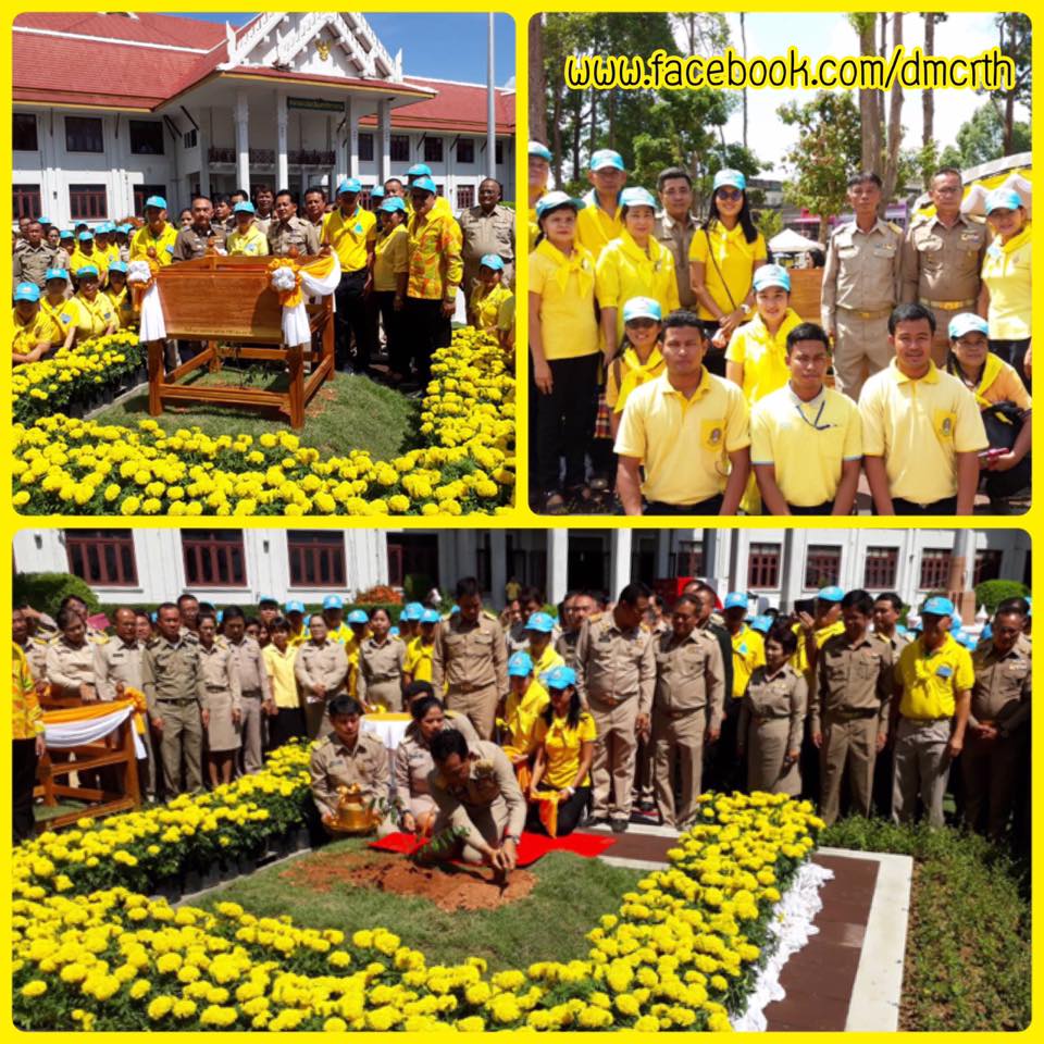 ทช. ร่วมปลูกต้นรวงผึ้ง หน้าศาลากลางเมืองนครศรีธรรมราช