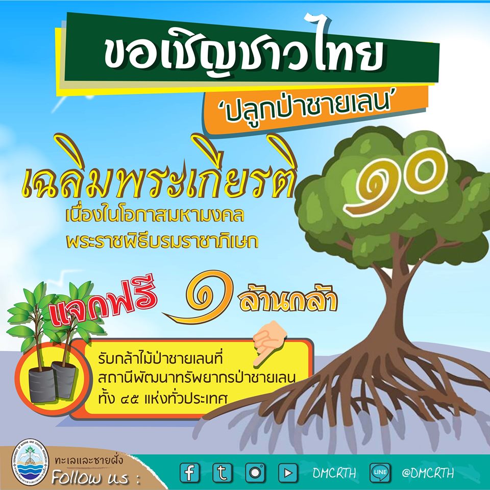 แจกฟรี ๑ ล้านกล้า ทช. ชวนปลูกป่าชายเลนเฉลิมพระเกียรติ