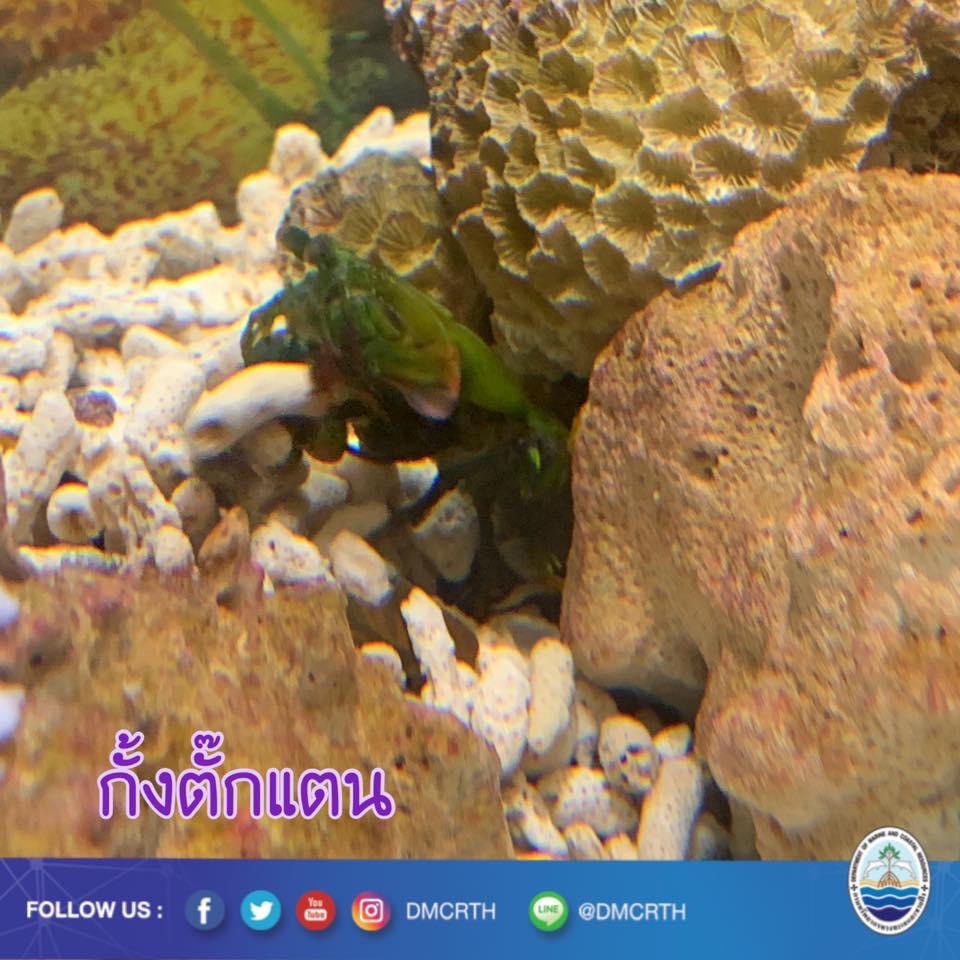 สวัสดี พี่น้องเครือข่ายรักษ์ทะเลไทย