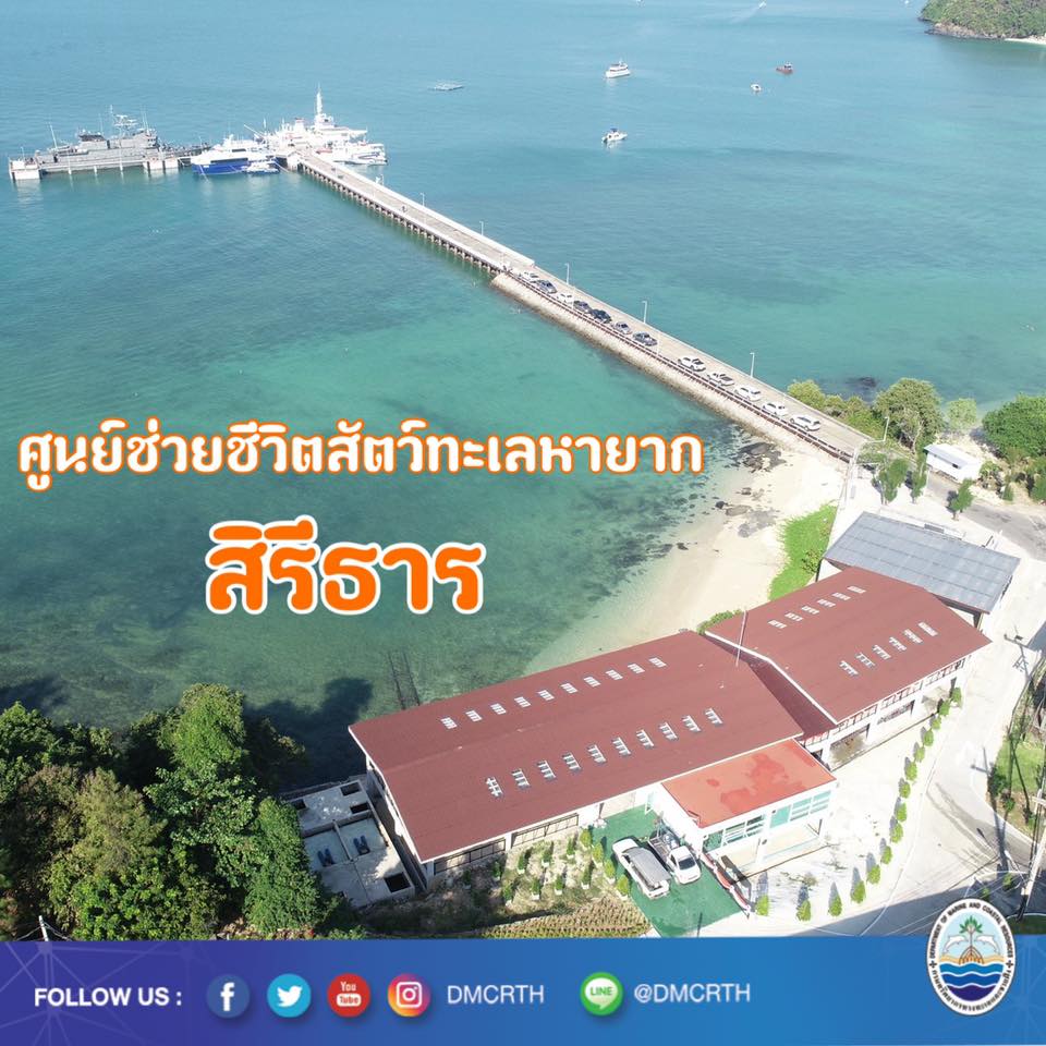 ทช. พร้อมเปิดศูนย์ช่วยชีวิตสัตว์ทะเลหายากสิรีธาร วันนี้