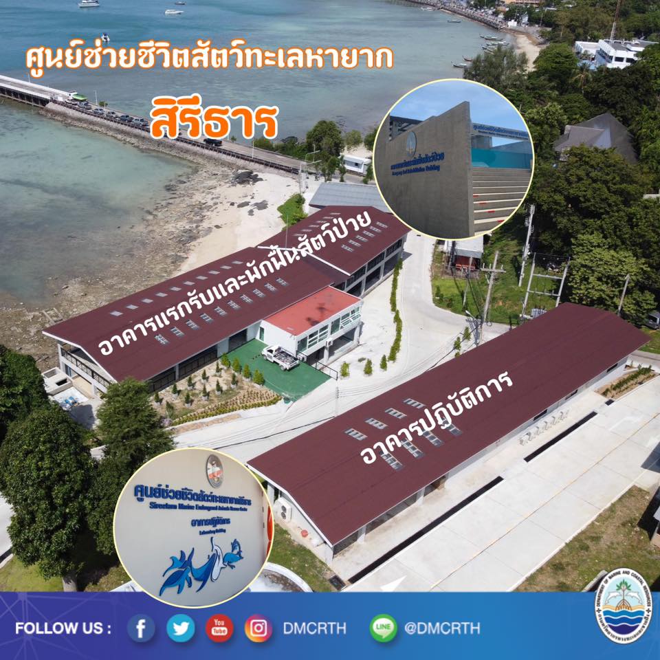 ทำความรู้จัก ศูนย์ช่วยชีวิตสัตว์ทะเลหายากสิรีธาร