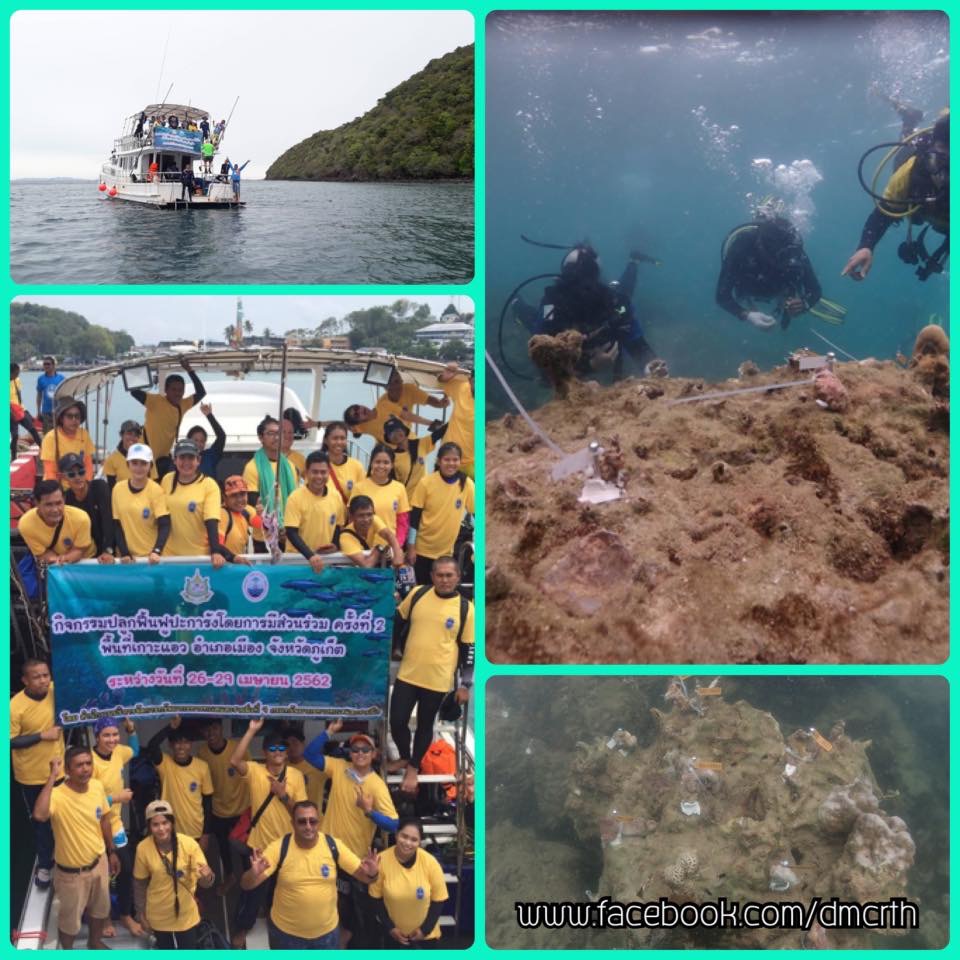 ฟื้นฟูปะการังโดยการมีส่วนร่วมเกาะแอว ทะเลภูเก็ต